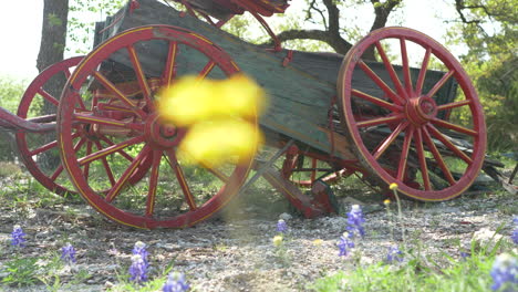 Handgehaltene-Zeitlupenaufnahmen-Eines-Rustikalen-Alten-Wagens-In-Einem-Feld-Mit-Wildblumen