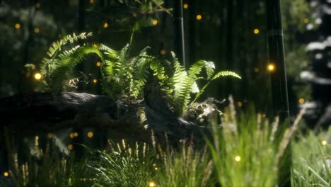 tronco del árbol doblado horizontalmente con helechos creciendo, y la luz del sol brillando