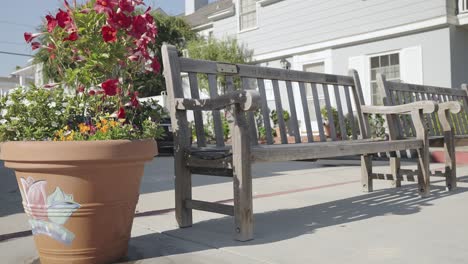 A-wooden-bench-and-a-pot-with-roses-in-the-park