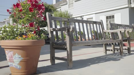 un banco de madera y una maceta con rosas en el parque