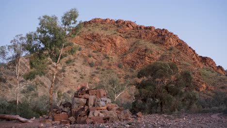 Wildnislandschaft-Gruppe-Von-Wallabies,-Die-Auf-Felsen-Stehen