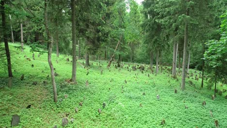 Encontré-Un-Cementerio-En-Un-Bosque-Abandonado