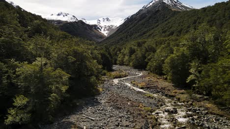 Río-Que-Fluye-En-Un-Bosque