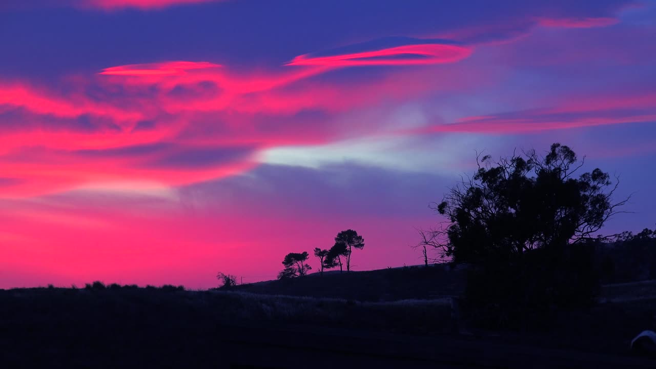 un hermoso amanecer o atardecer de otro mundo a lo largo de la costa de california con un árbol recortado en primer plano