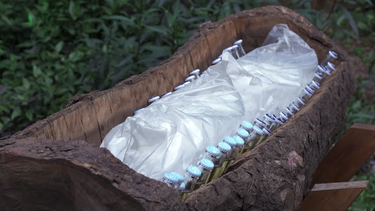 A close-up of craft beer bottles chilling on ice inside a natural wooden log that serves as a unique outdoor cooler. Perfect for rustic parties