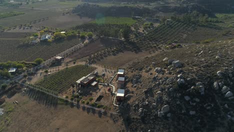 Aerial-shot-of-vineyards-and-a-litle-hotel-in-Valle-de-Guadalupe