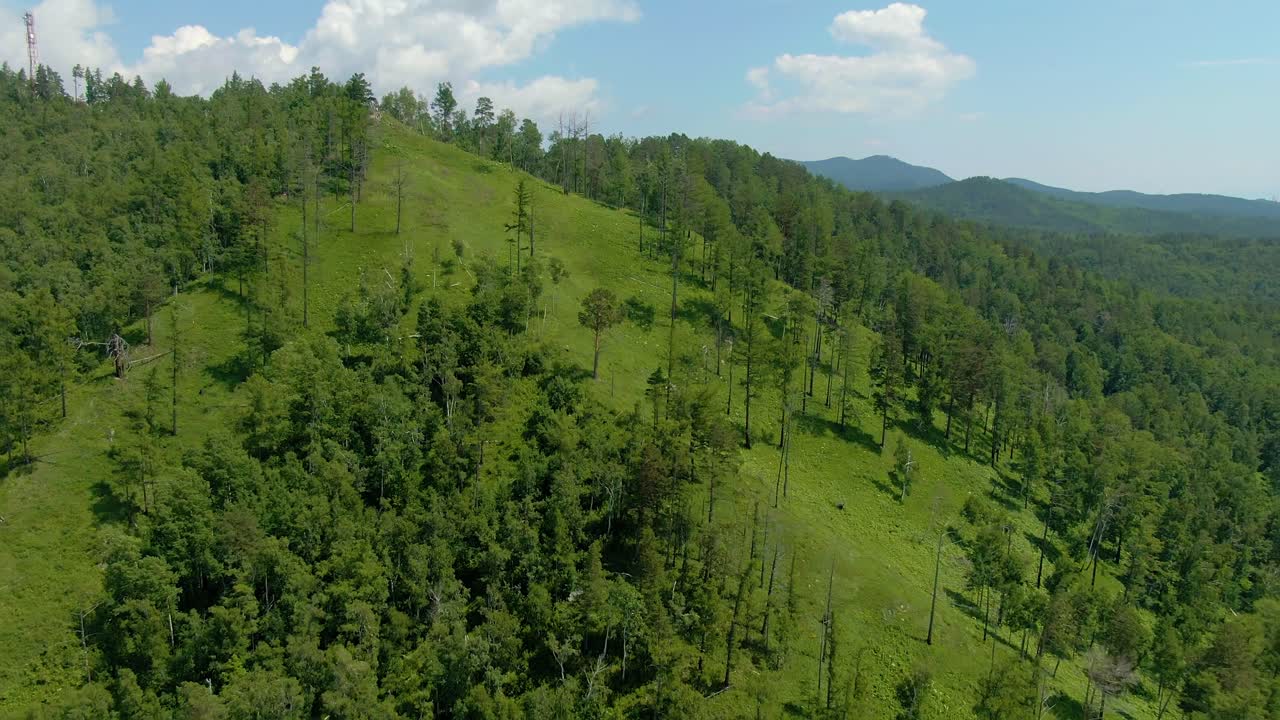 paisaje forestal montañoso con sendero para senderismo