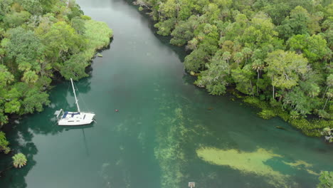 Aerial-footage-of-a-large-river-in-a-tropical-forest-with-a-still-sailing-boat,-dolly-in-shot