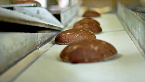 Bread-production-line.-Food-conveyor-line.-Black-bread-production-process