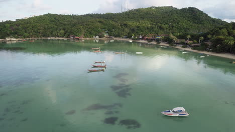 Vuelo-A-La-Bahía-Tropical