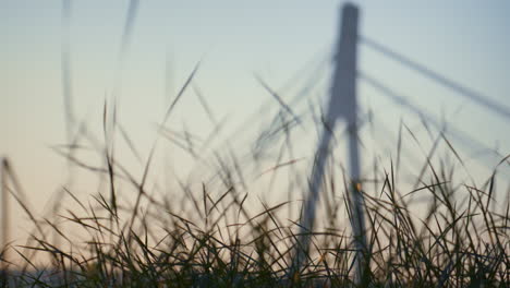 Landschaft-Stadtbrücke-Gras-Im-Vordergrund.-Silhouette-Städtischer-Straßenturm-Bei-Sonnenuntergang