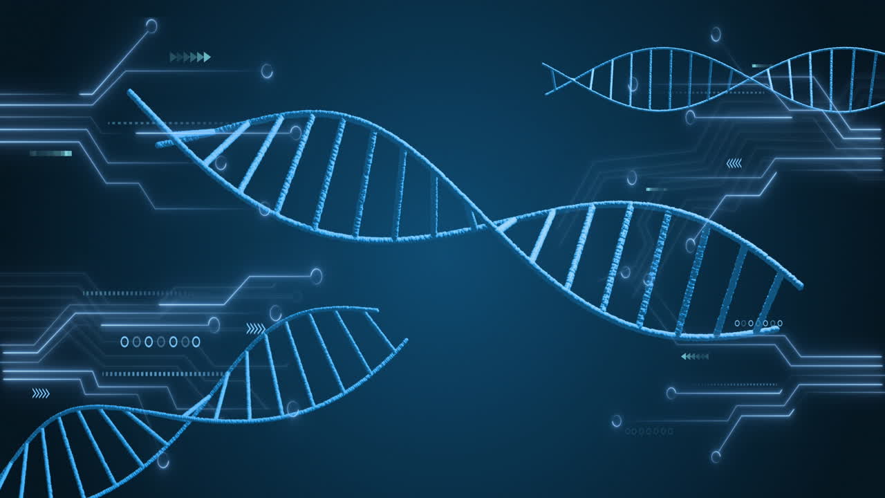 Animazione di strutture di DNA rotanti e connessioni di microprocessori su sfondo blu