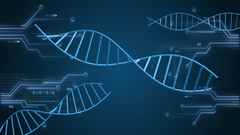 animación de estructuras de adn giratorias y conexiones de microprocesadores contra un fondo azul