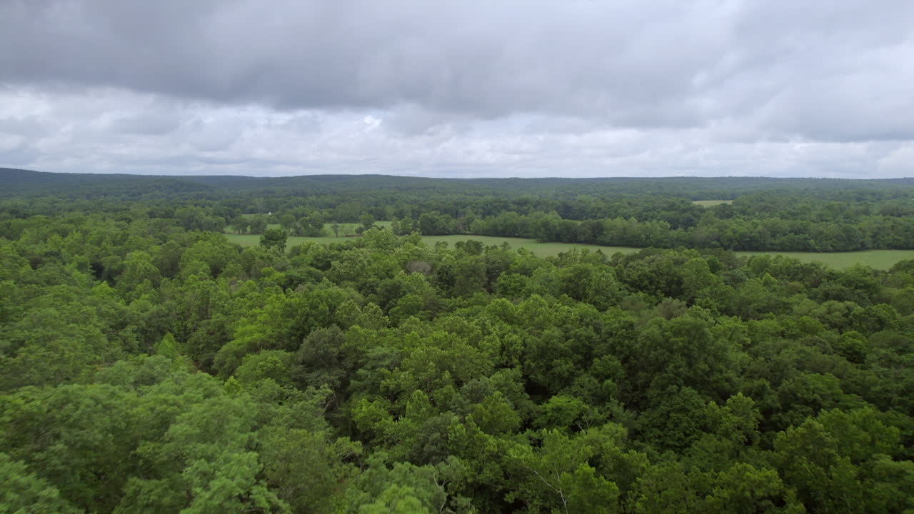 avanza sobre hermosos bosques y campos en un día nublado de verano antes de la lluvia