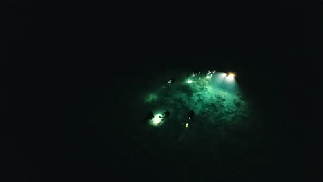 aerial perspective of a group of divers diving at night with special water lamps