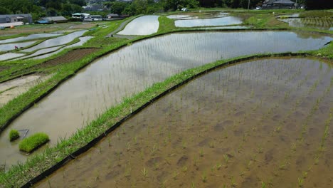 slow motion cinematic flight over water filled rice paddies with sky reflections