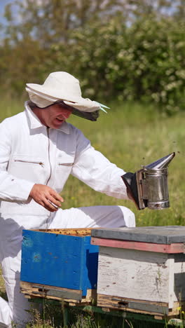 busy apiarist kneeled near the beehive and uses smoker. angry bees swarming around the man. nature backdrop in blur. vertical video