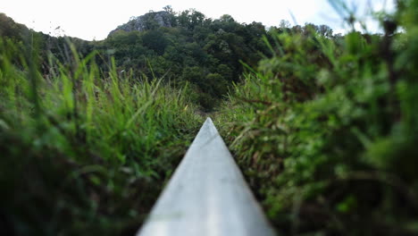 vía de tren rodeada de césped 1