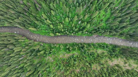 Bosque-De-Coníferas-De-Vista-Aérea-Con-Río-Que-Fluye-En-Montana,-Estados-Unidos