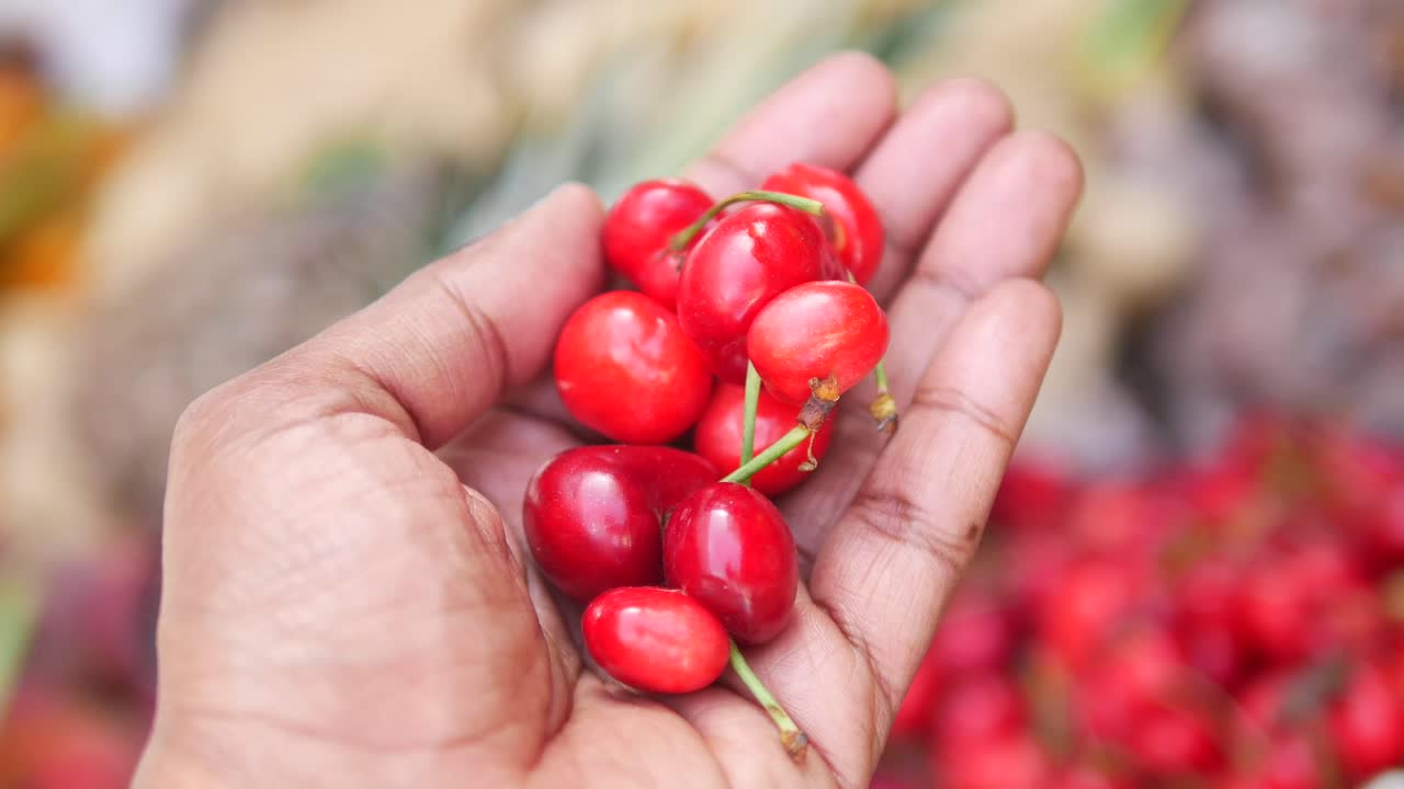 Hand holding fresh red cherries