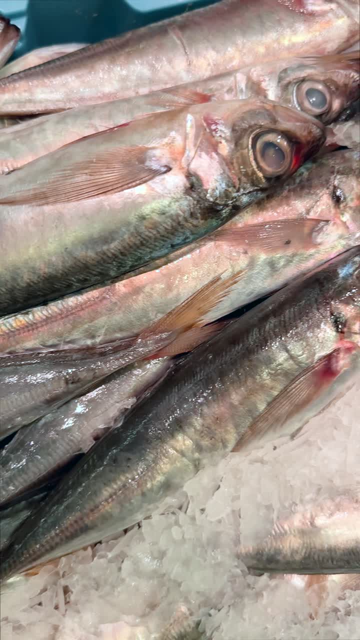 pescado fresco en hielo