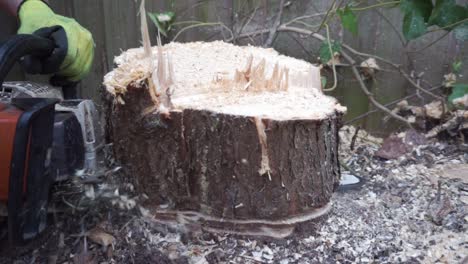 Tree-Surgeon-Trabajando-Con-Motosierra-Para-La-Extracción-De-Un-Tocón-De-árbol