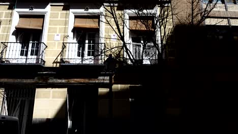 architecture in madrid.	shooting in motion.