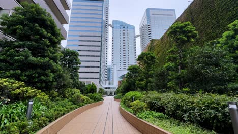 modern city garden with skyscrapers