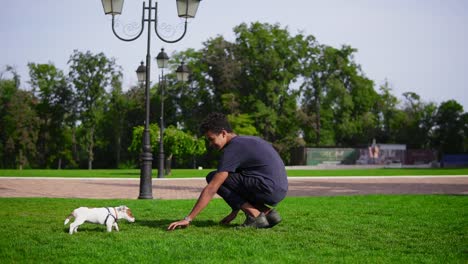 Junger,-Hübscher-Afrikanischer-Mann,-Der-Mit-Einem-Welpen-Im-Park-Spielt-Und-Gemeinsam-Auf-Dem-Grünen-Gras-Läuft.-Kleine-Hunderassen-Jack-Russell