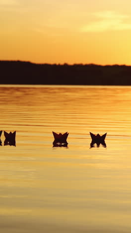 floating paper boats on the water at sunset. paper boat. origami. vertical video