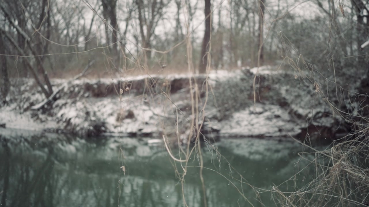 Neve Leggera che Cade su un Fiume Calmo in una Foresta Invernale