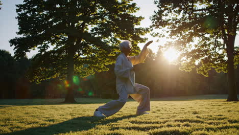 elderly woman practicing tai chi in a park at sunrise