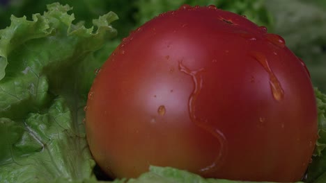 water droplets fall onto a plump juicy tomato and then stop, as the tomato rotates