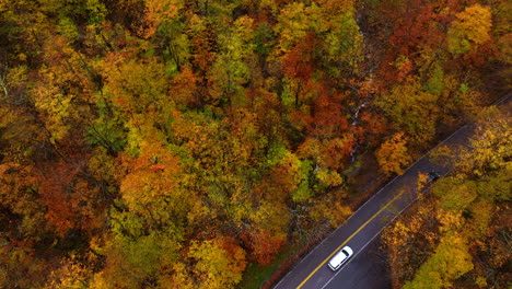 automobiles move by the highway in the thick wood of red, yellow, orange colors. descending above the colorful forest in autumn.