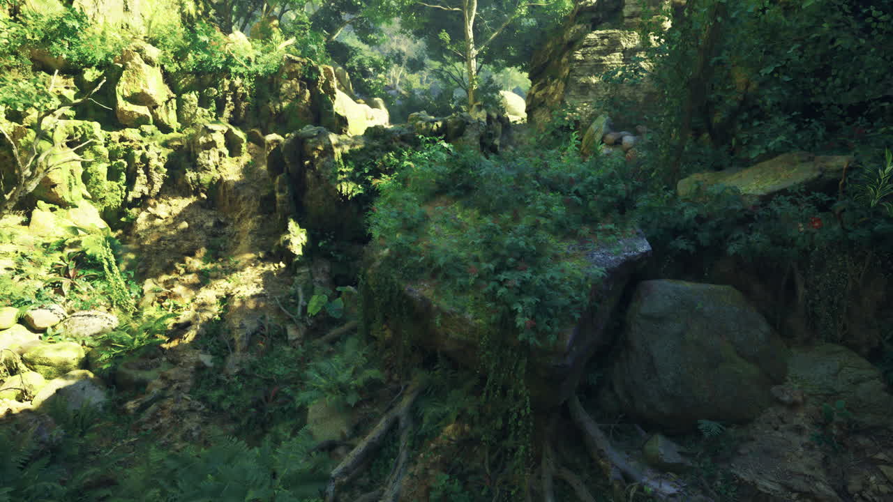 Lush greenery and rocky terrain in a vibrant forest setting