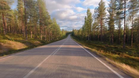 golden hour driving pov: driving on highway through boreal forest