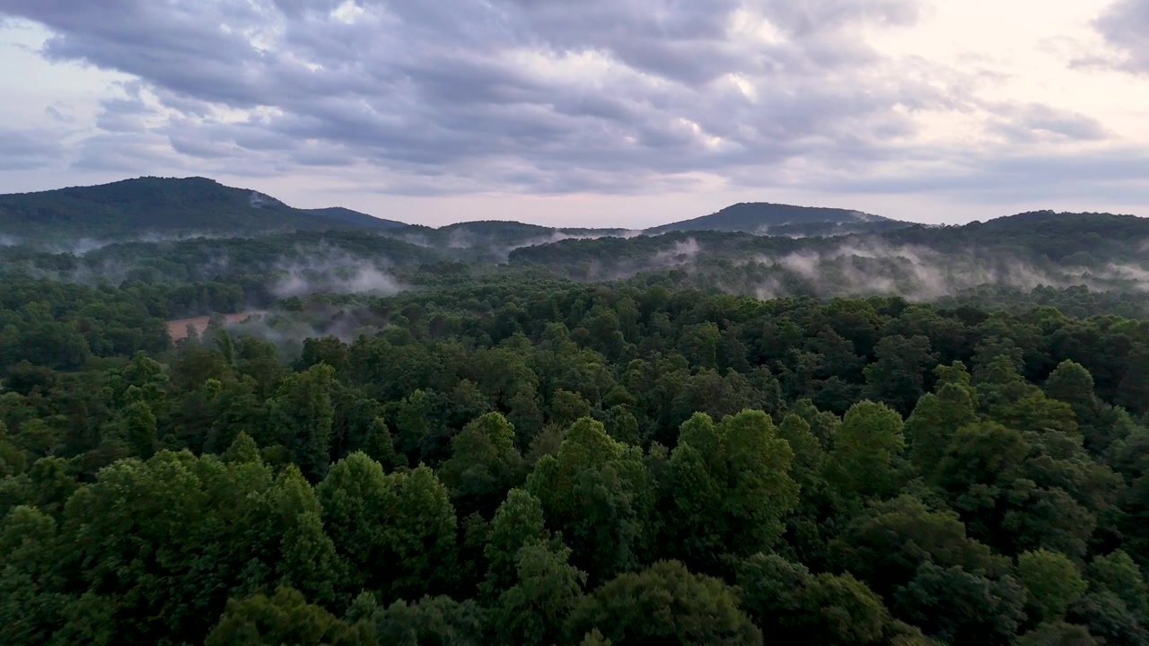 Drone shot pushing in over a foggy Georgia forest at sunset in the summer.
