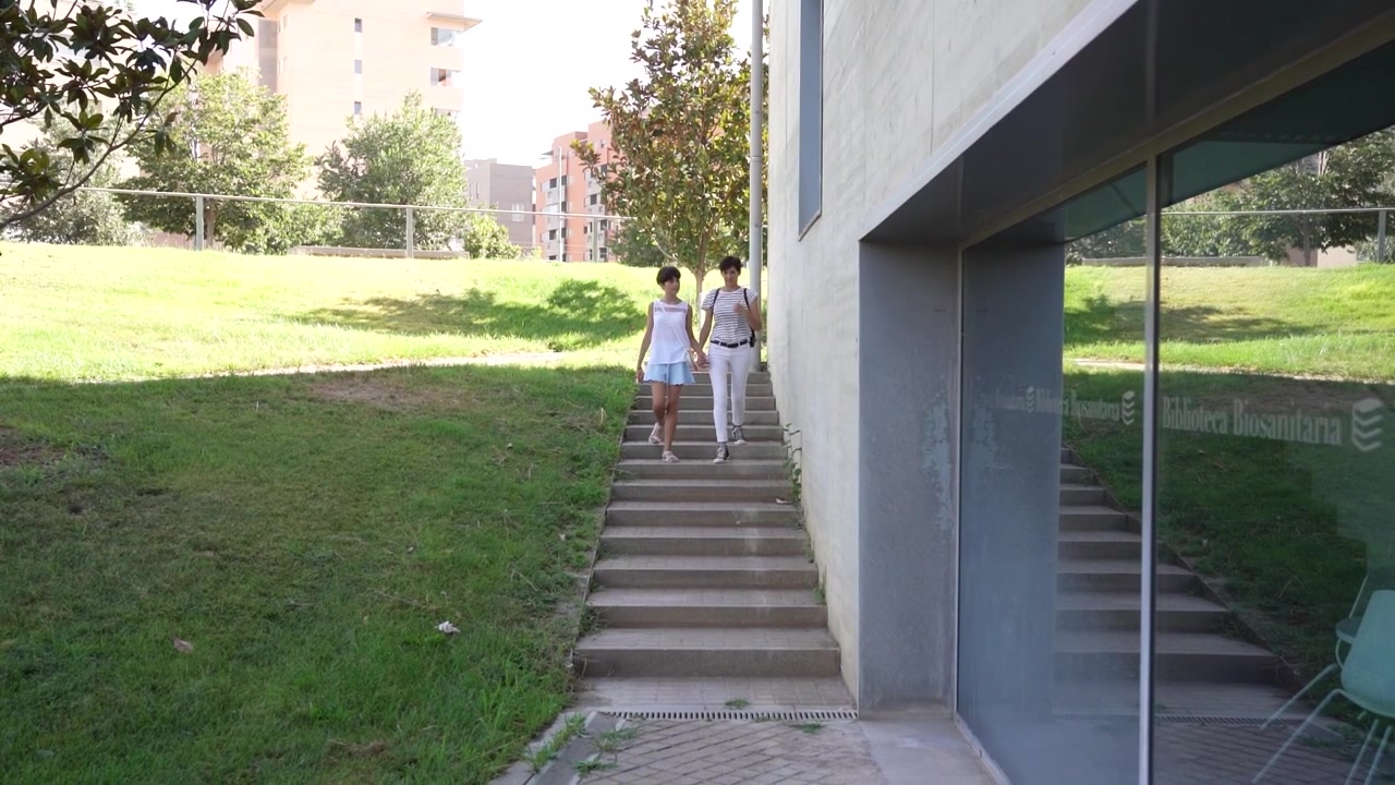 Escalones serenos que conducen con gracia a una hermosa y exuberante zona verde rodeada de naturaleza.