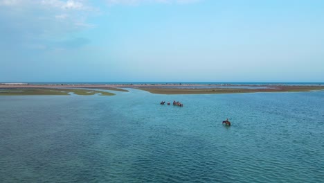 una vista aérea de varias personas montando caballos y camellos en la superficie de la laguna de djerba en túnez