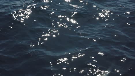 deep blue water slow motion closeup