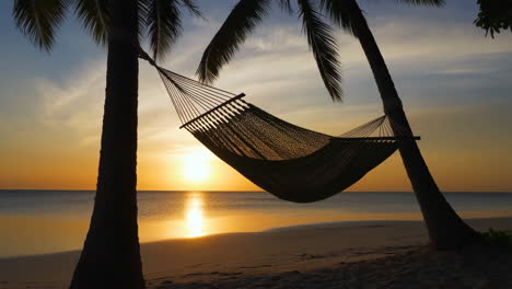 hammock between palm trees on a tropical beach at sunset