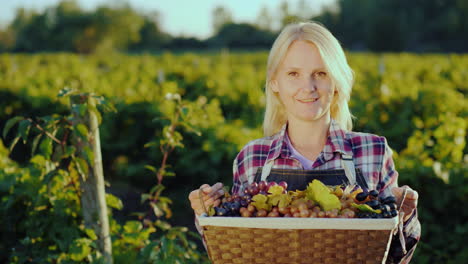 retrato de un agricultor atractivo con una cesta de uvas sonríe mira a la cámara