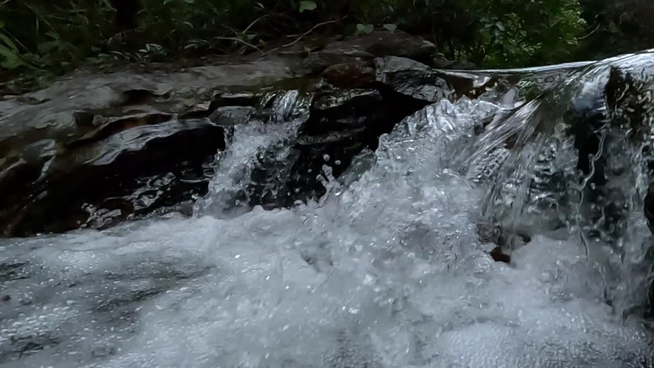 Natural water motion, creek environment, splashing rapids, idyllic scenery