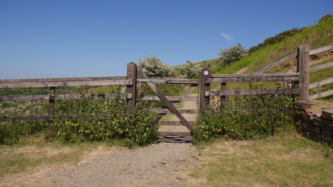 영국 다트무르 의  ⁇ 고  ⁇ 은 날 에 지나가는 길 과 배경 에 있는 호스톤 나무 와 인접 한 울타리 를 가진 시골 문