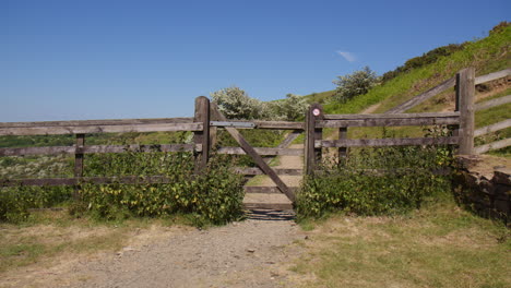 Rural-Gate-with-Adjoining-Fencing,-Hawthorn-Tree-in-background-and-Pathway-Leading-Through-on-a-Clear,-Sunny-Day-in-Dartmoor,-UK