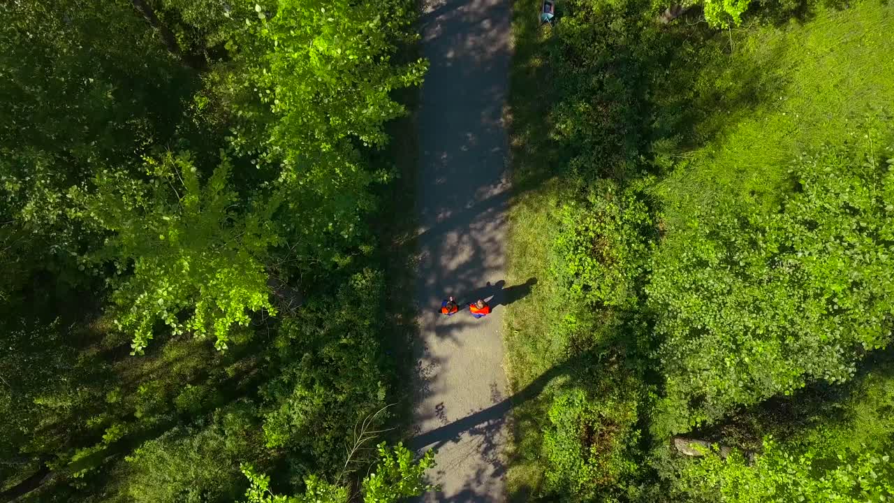 Hikers on a Forest Trail