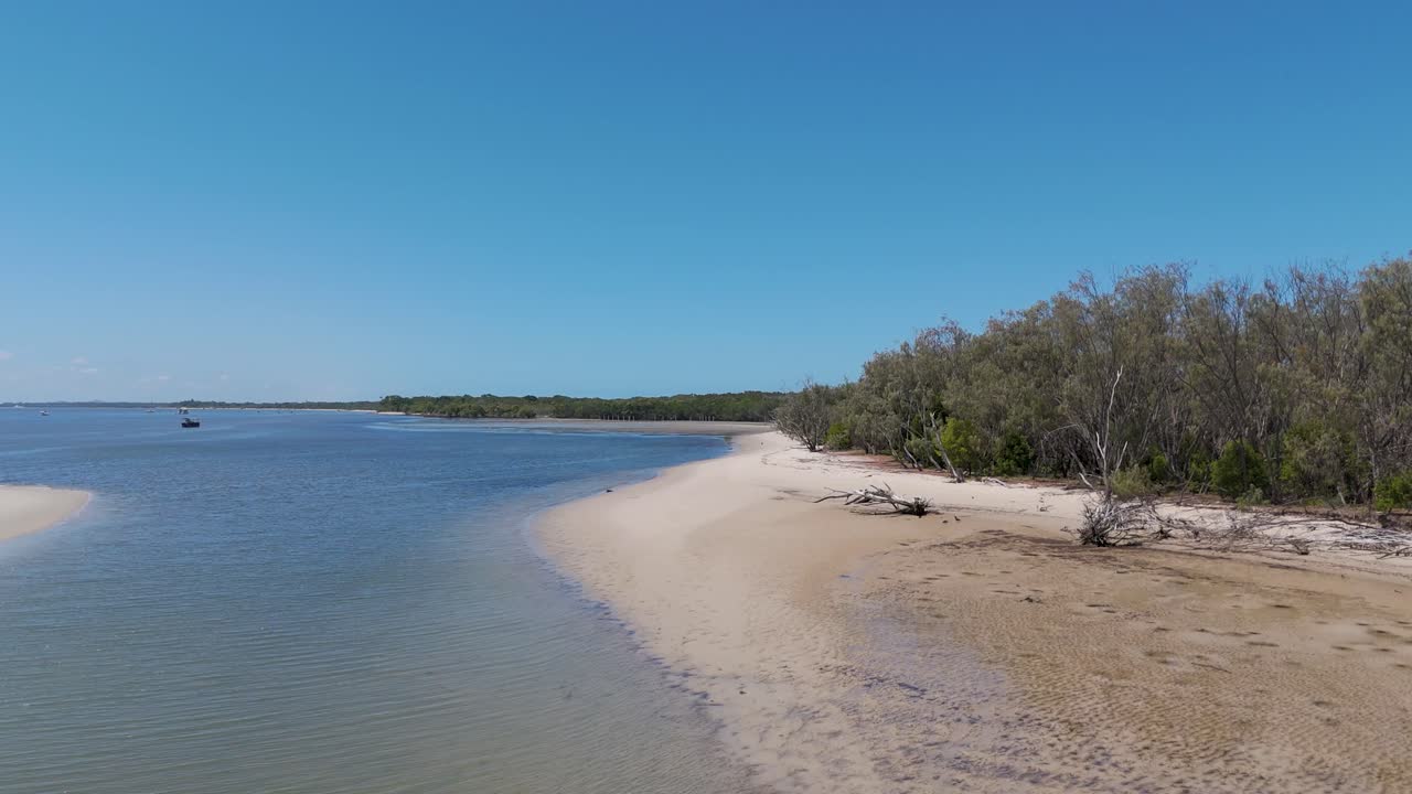 vista aérea de la costa con arena y manglares