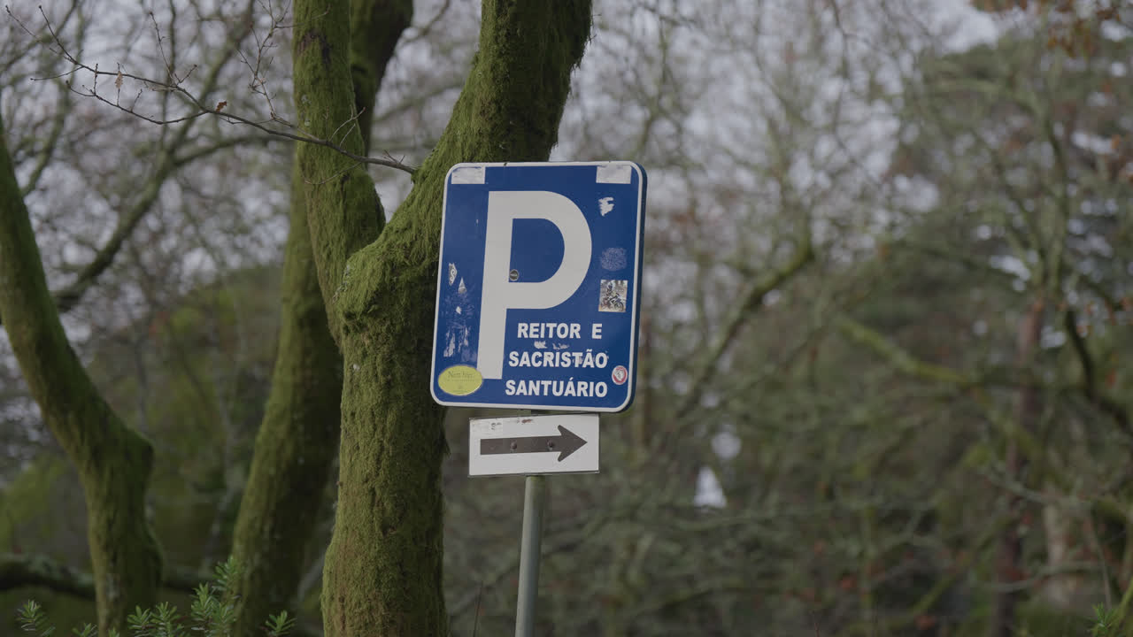 Blaues Parkschild mit nach rechts zeigendem Pfeil, montiert in der Nähe von Bäumen