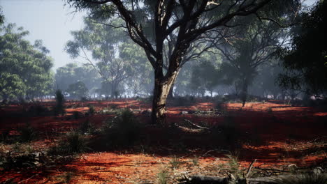 coastal vegetation with trees and shrubs