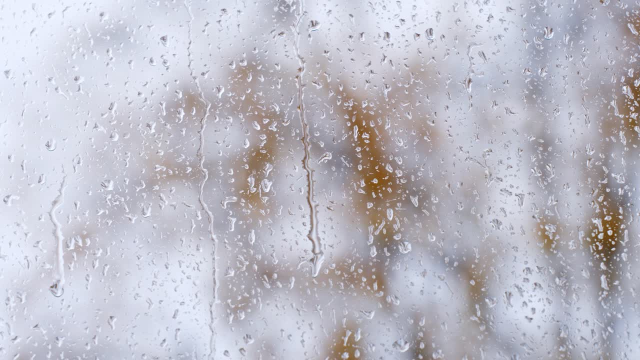 Rain falling outside, raindrops flowing on the window on a rainy day in autumn, trees moving windy, static background, space for text
